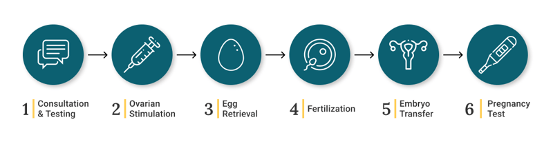 In Vitro Fertilization (IVF) step-by-step infograph