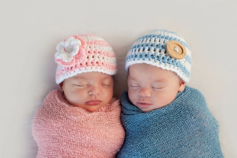 ivf for twins