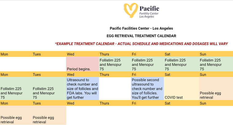 egg retrieval calendar ivf example