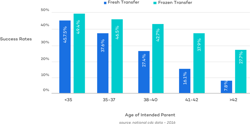 fresh frozen embryo transfer success rates