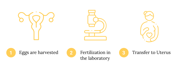 IVF and Preimplantation Genetic Testing diagram