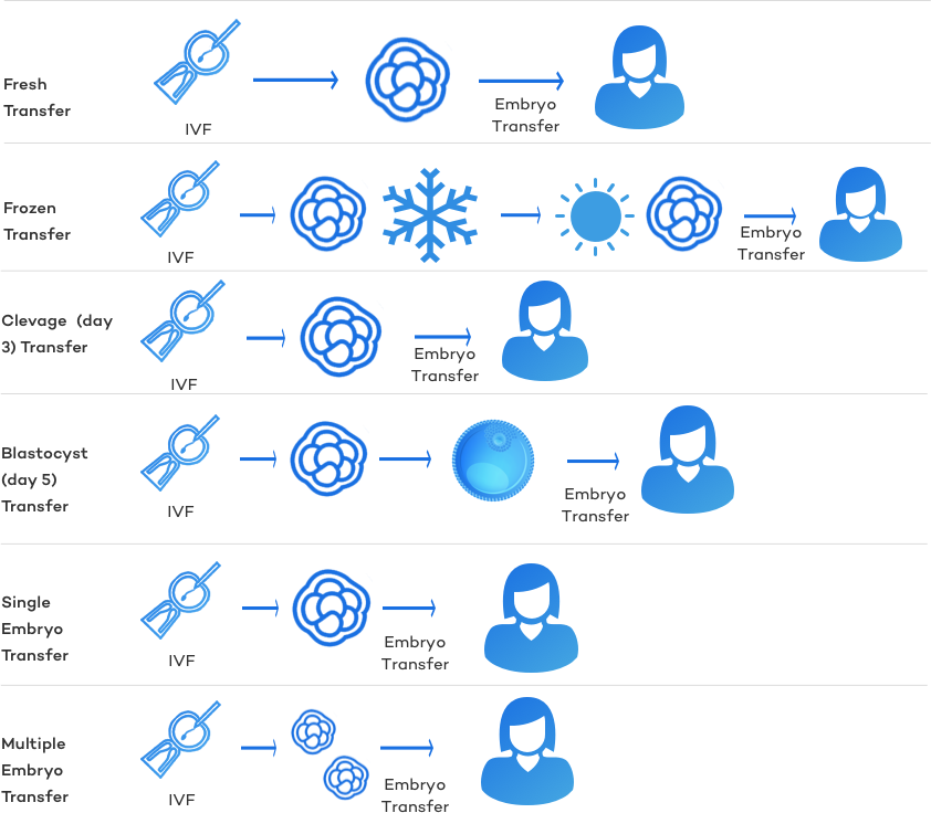 IVF Embryo Transfers The Complete Guide 2024